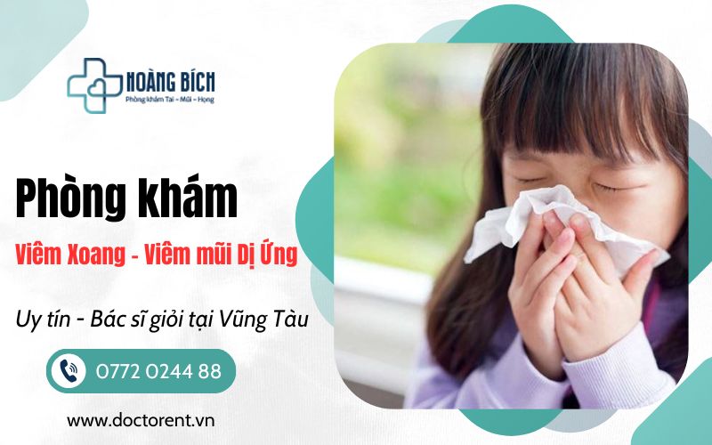 Phòng Khám Viêm Xoang, Viêm mũi dị ứng tại Vũng Tàu