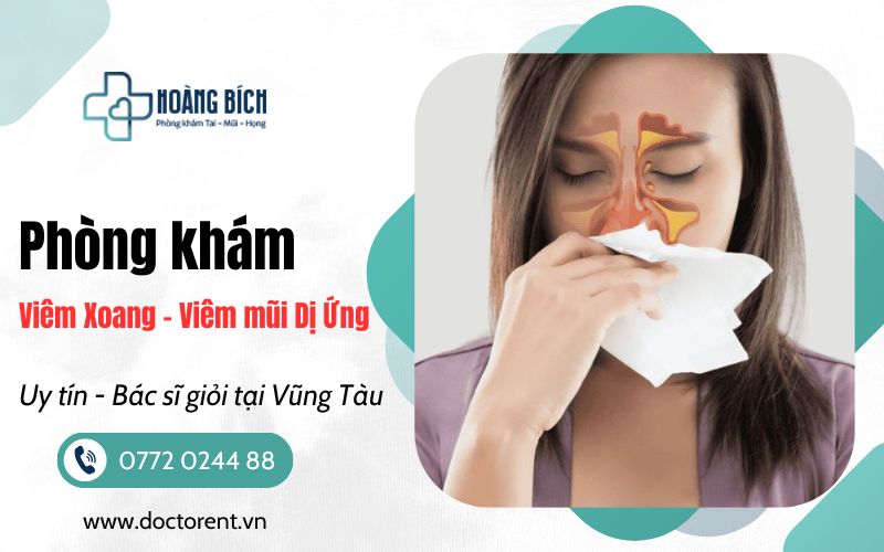 Phòng Khám Viêm Xoang, Viêm mũi dị ứng tại Vũng Tàu