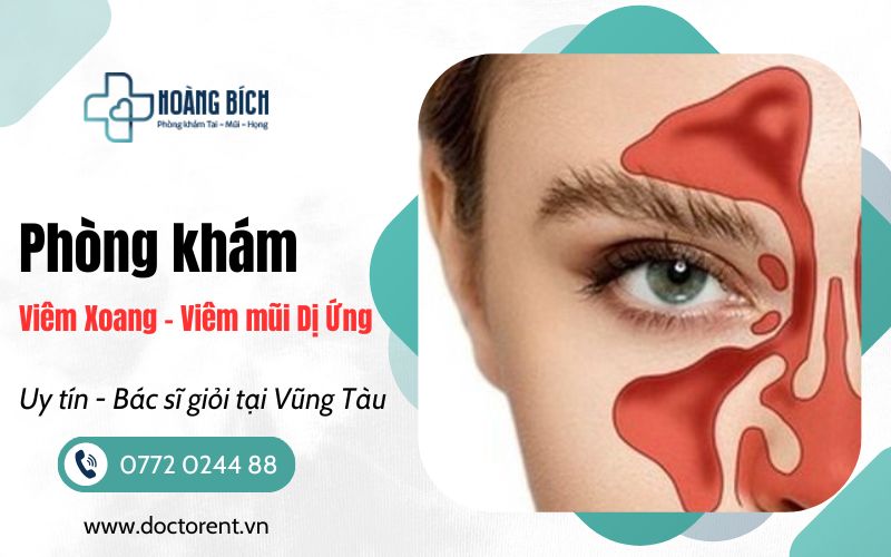 Phòng Khám Viêm Xoang, Viêm mũi dị ứng tại Vũng Tàu
