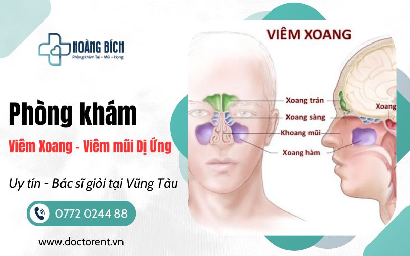 Phòng Khám Viêm Xoang, Viêm mũi dị ứng tại Vũng Tàu