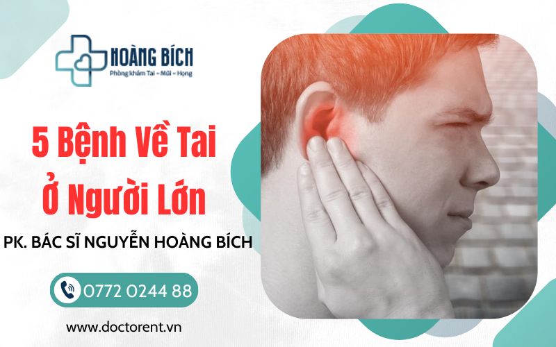Bệnh về tai ở người lớn, phòng khám bác sĩ nguyễn hoàng bích